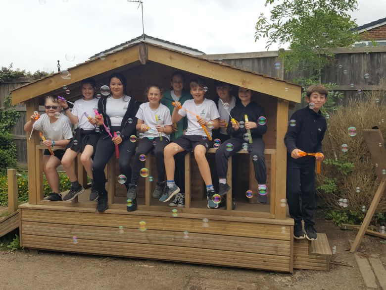 Fernhurst Primary School Badgers (Year 6)